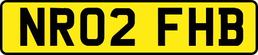 NR02FHB