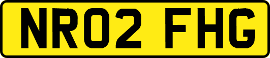 NR02FHG