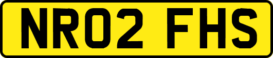 NR02FHS
