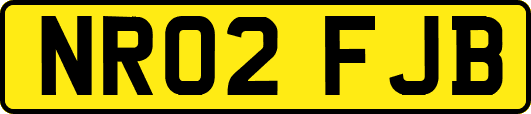 NR02FJB