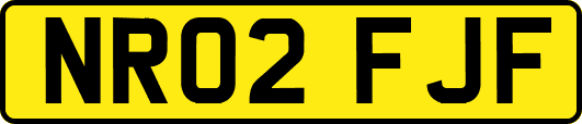 NR02FJF