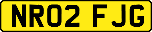NR02FJG