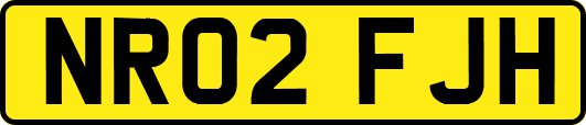 NR02FJH