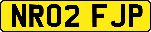 NR02FJP