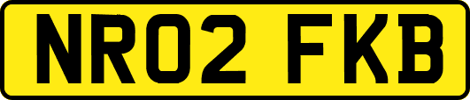 NR02FKB