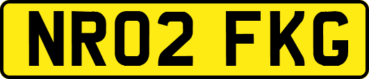 NR02FKG