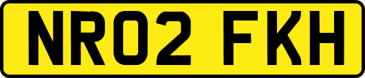 NR02FKH