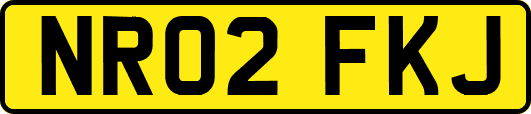 NR02FKJ
