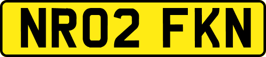 NR02FKN