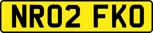 NR02FKO