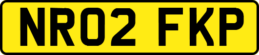 NR02FKP