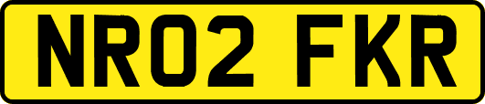 NR02FKR