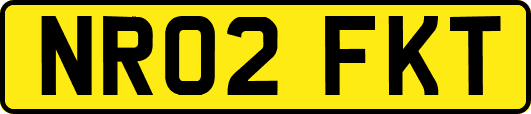 NR02FKT