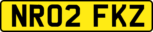 NR02FKZ