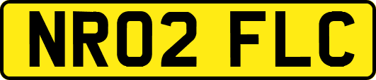 NR02FLC
