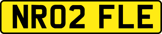 NR02FLE