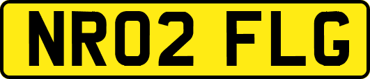 NR02FLG