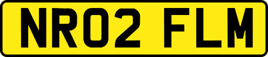 NR02FLM