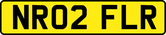 NR02FLR
