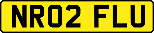 NR02FLU