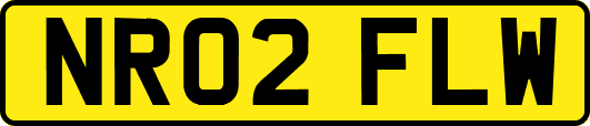 NR02FLW
