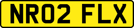 NR02FLX