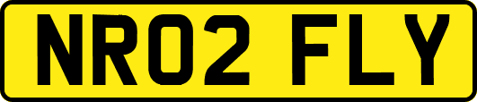 NR02FLY