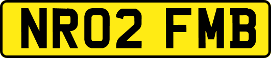 NR02FMB