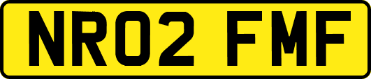 NR02FMF