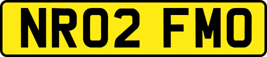 NR02FMO