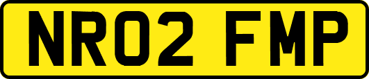 NR02FMP