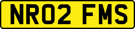 NR02FMS