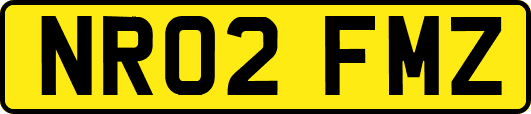 NR02FMZ