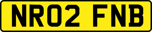 NR02FNB