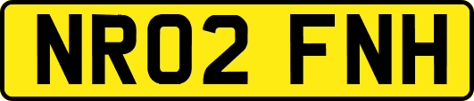 NR02FNH