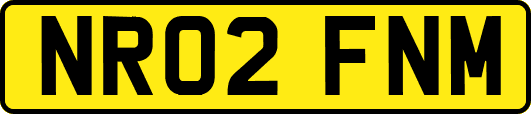 NR02FNM