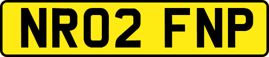 NR02FNP