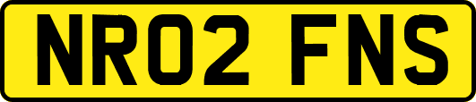 NR02FNS