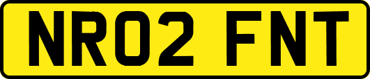 NR02FNT