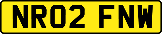 NR02FNW