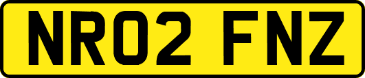 NR02FNZ