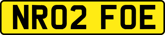 NR02FOE