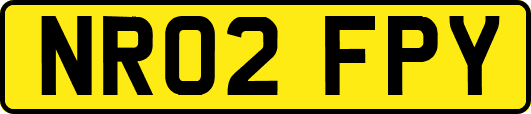 NR02FPY