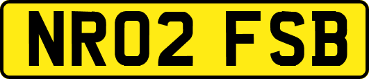 NR02FSB