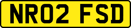 NR02FSD