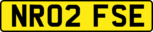 NR02FSE