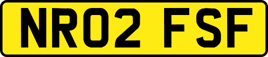 NR02FSF