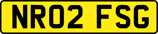 NR02FSG