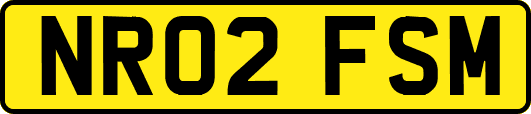 NR02FSM