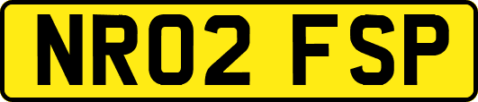 NR02FSP